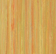 Линолеум Forbo Marmoleum Decibel on Order 524135 sunshine yellow фото 1 | FLOORDEALER